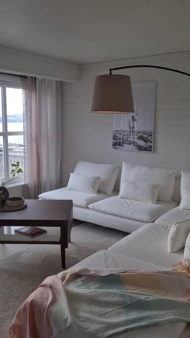 Narvik Mountain Homes Spectacular View House Buitenkant foto